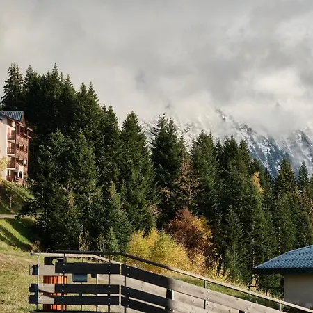 Au Pieds Pistes Collet Apartment Allevard